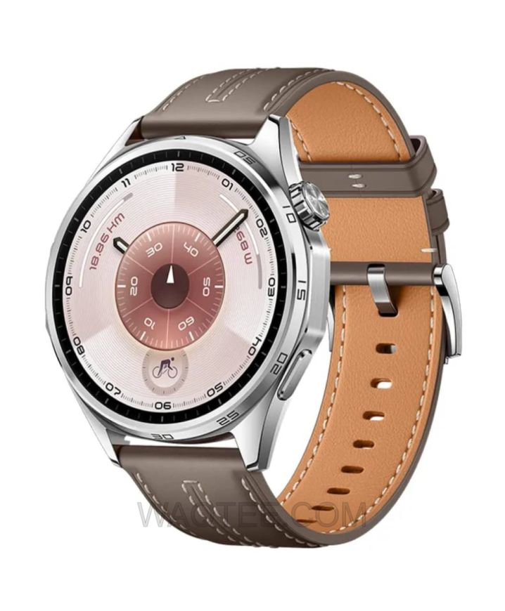 Huawei Smart Watch GT 6 Brown Fluoroelastomer Strap St. Steel Case With GIFT (Huawei Easy Fit Strap)