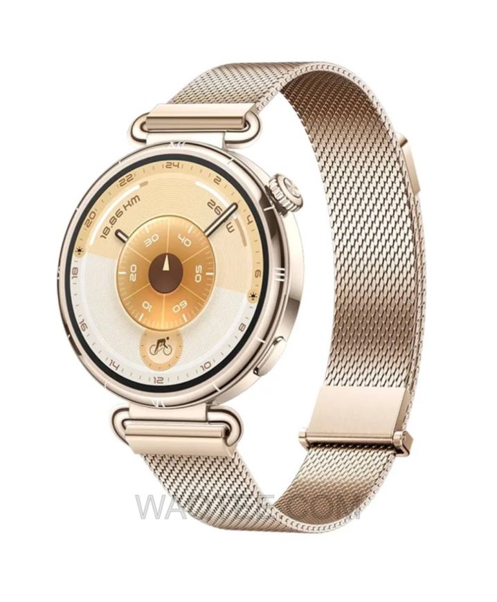 Huawei Smart Watch GT 6 Golden Mesh St. Steel Strap St. Steel Case With GIFT (Huawei Easy Fit Strap)