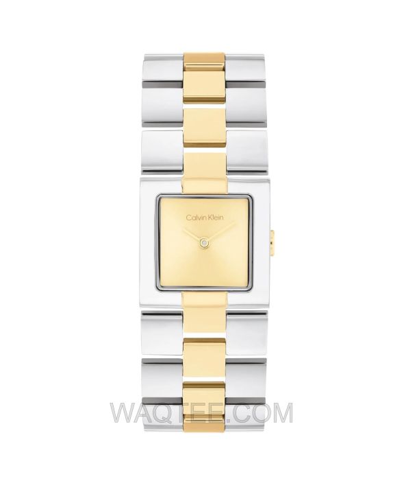 Calvin Klein CK Meridian Silver & Golden St. Steel Golden Dial For Women